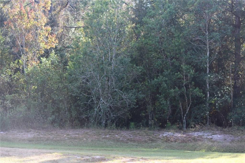 Recently Sold: $65,000 (2.28 acres)