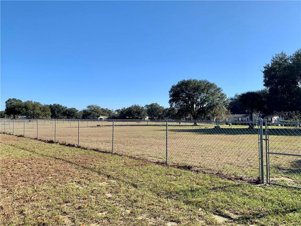 Fenced In Back Yard Area