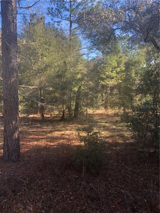 Recently Sold: $34,900 (3.09 acres)