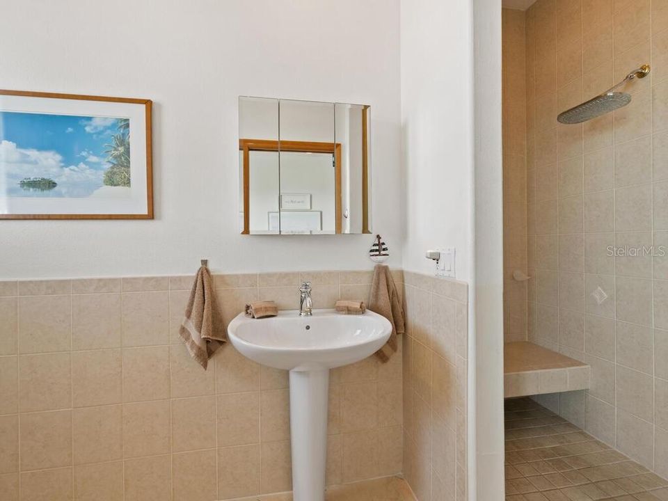 The en-suite bath and shower.