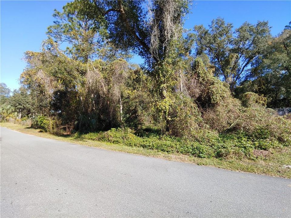 Recently Sold: $6,999 (0.32 acres)