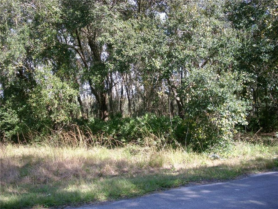 Recently Sold: $20,000 (0.25 acres)