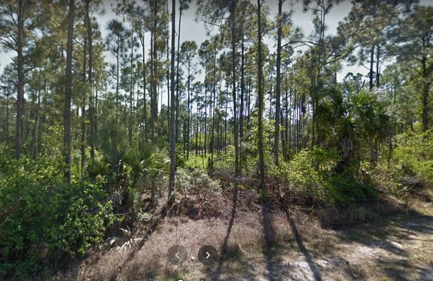 Vendido Recientemente: $14,000 (0.23 acres)