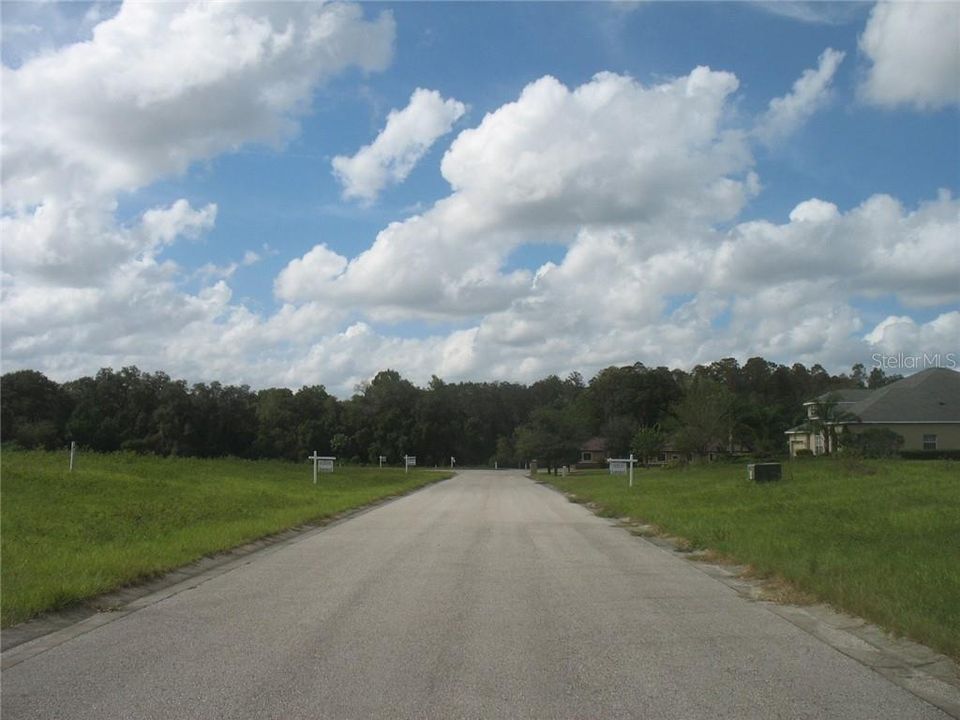 Street view of subdivision.