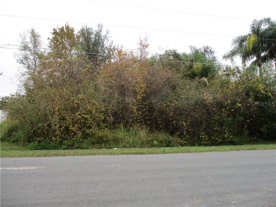 Front view of lot.