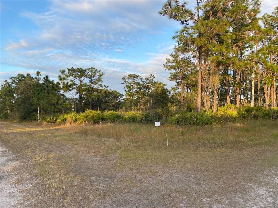 Recently Sold: $5,800 (1.05 acres)