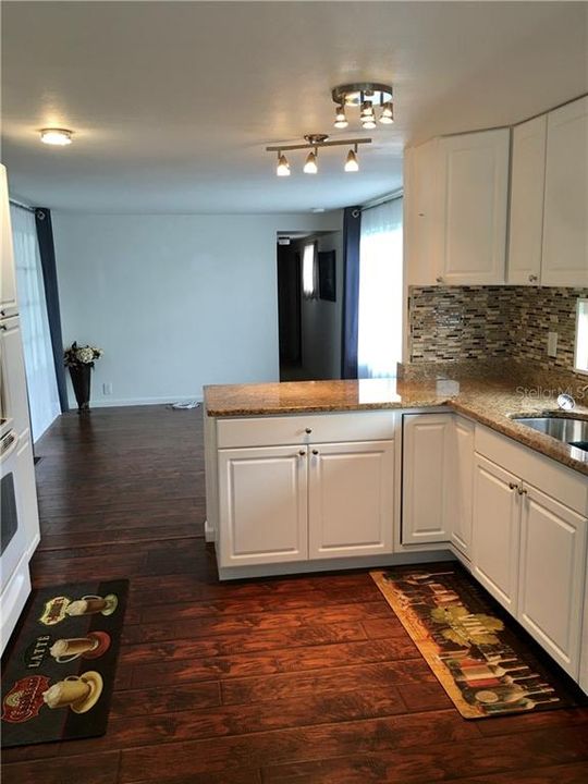 Beautiful kitchen to living room