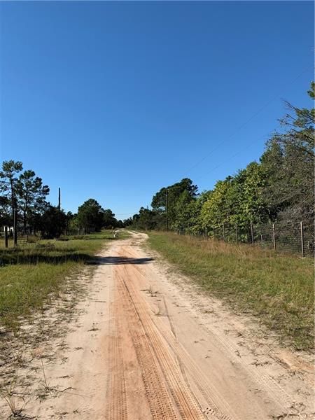 Dirt Road Leading to the property