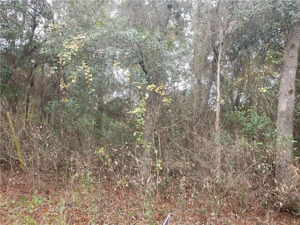 Recently Sold: $8,000 (0.45 acres)
