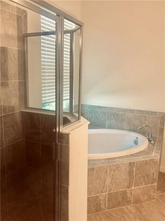 Masterbath with soaking tub and walk in shower.