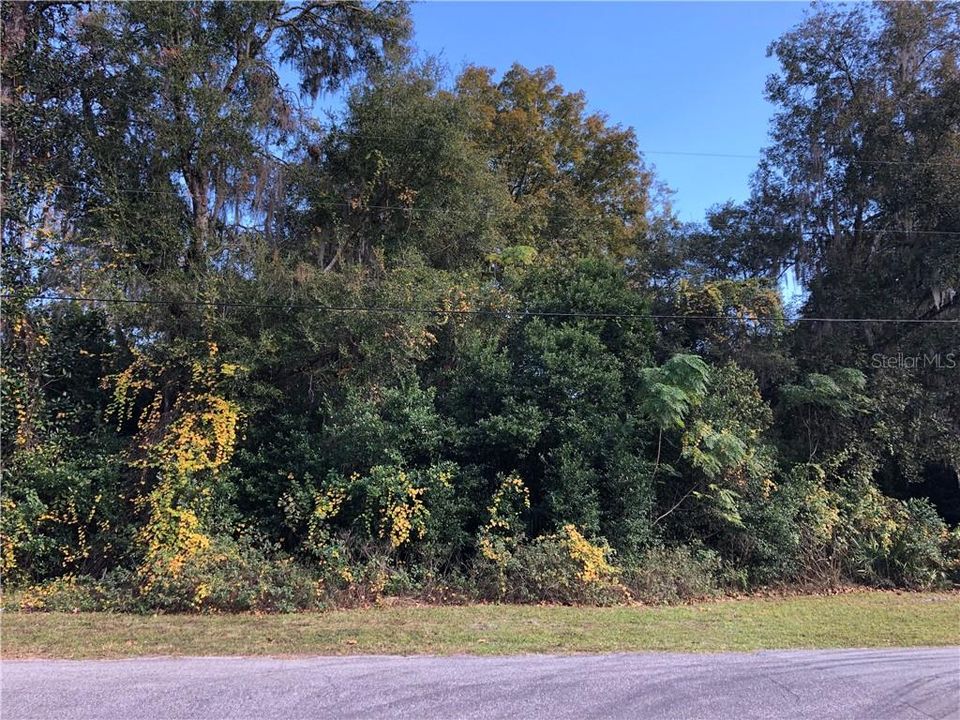 Recently Sold: $24,900 (1.09 acres)