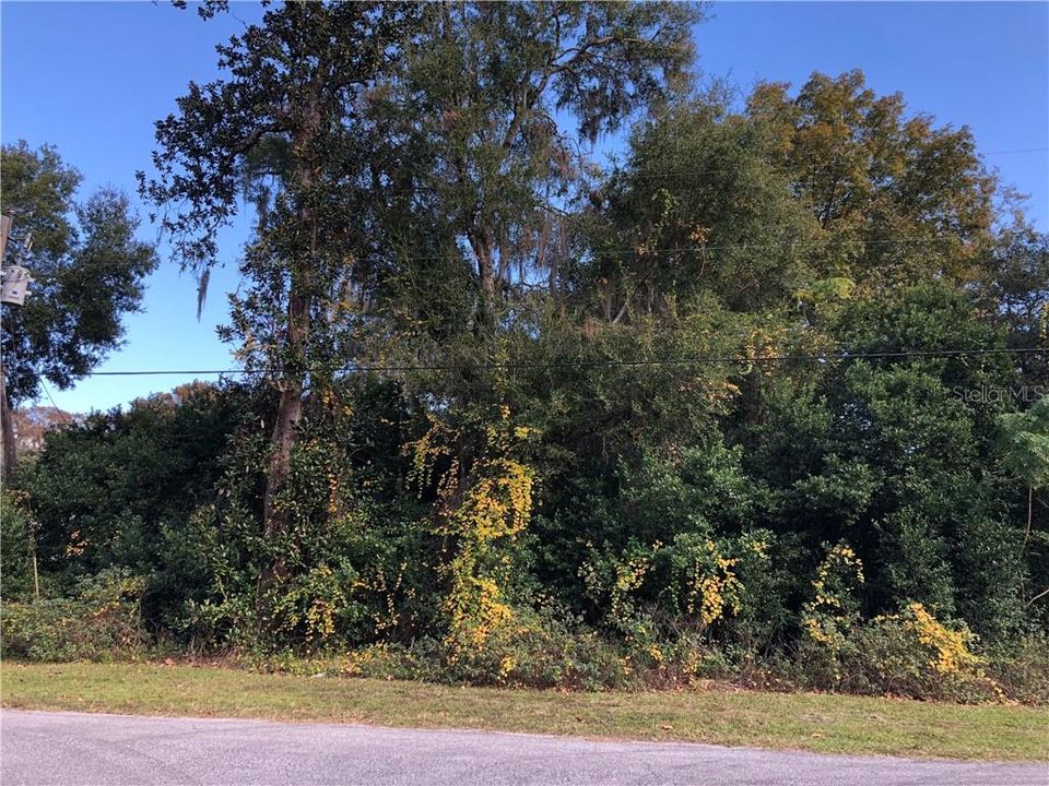 Recently Sold: $24,900 (1.09 acres)