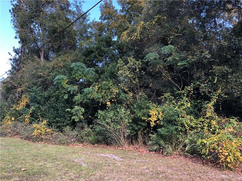 Recently Sold: $24,900 (1.09 acres)