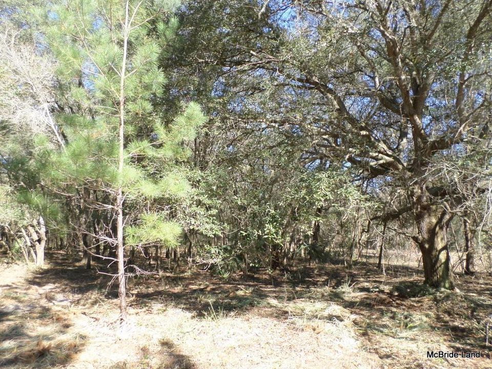 Recently Sold: $59,900 (6.13 acres)