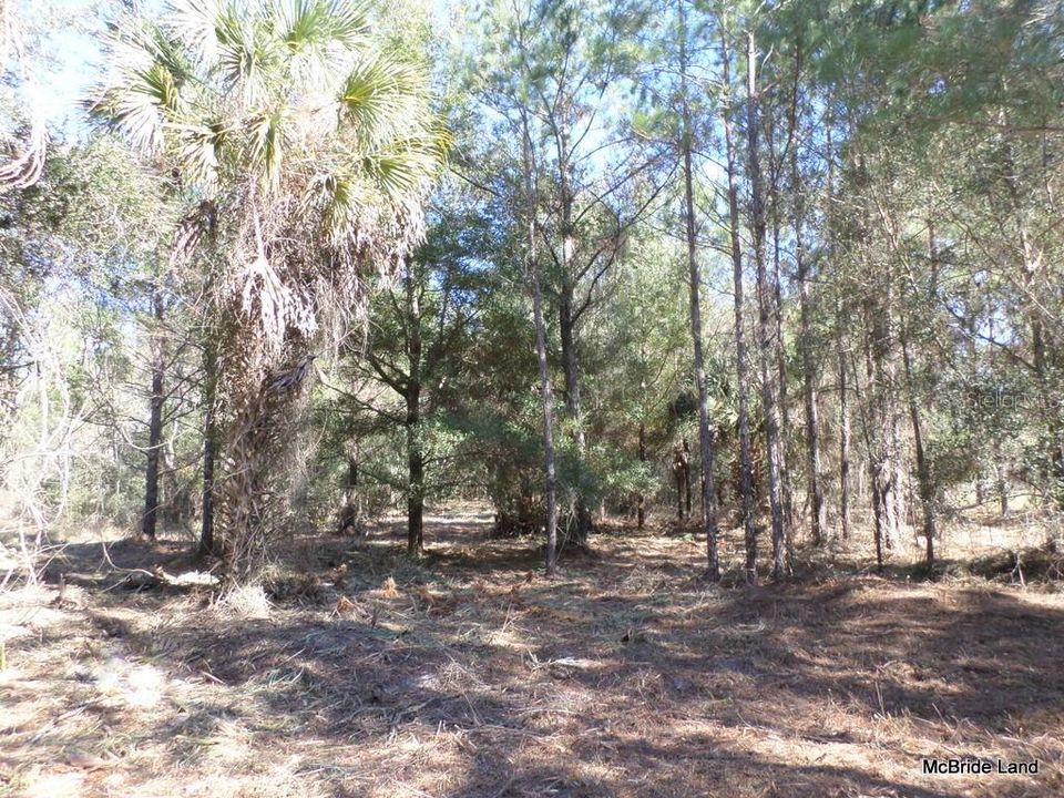 Recently Sold: $59,900 (6.13 acres)