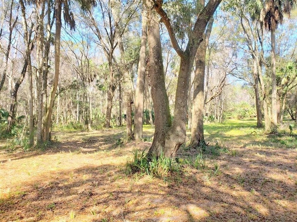 Recently Sold: $54,900 (4.52 acres)