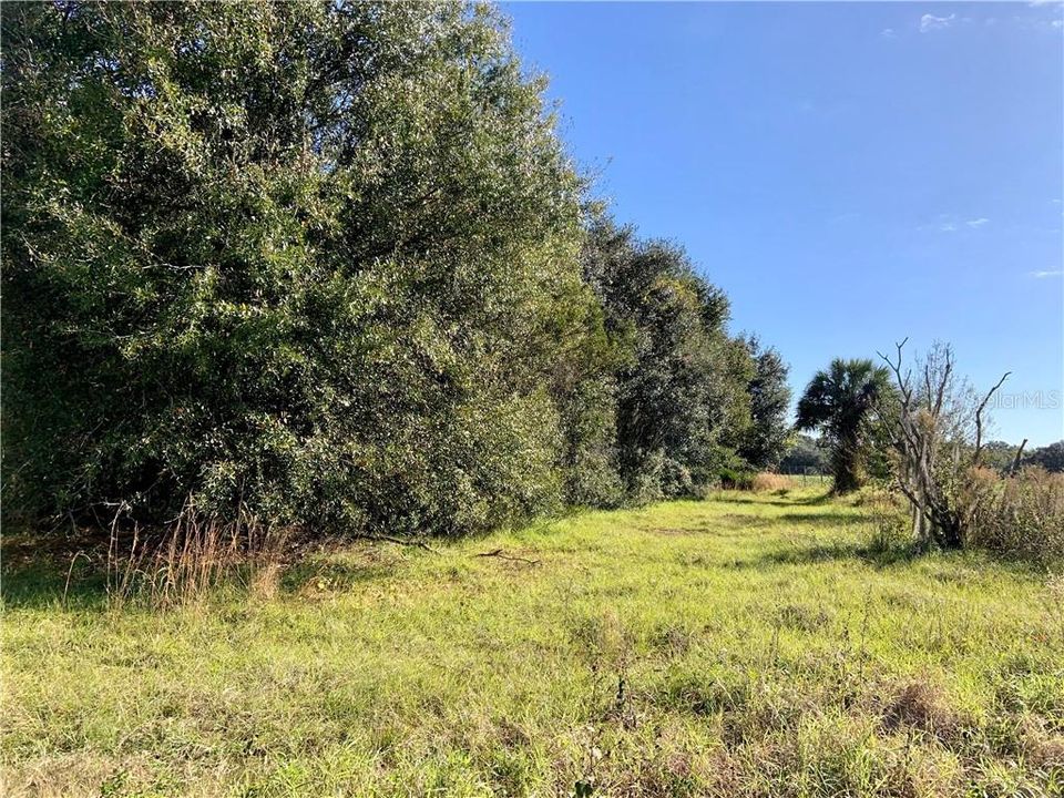 Recently Sold: $65,000 (5.05 acres)