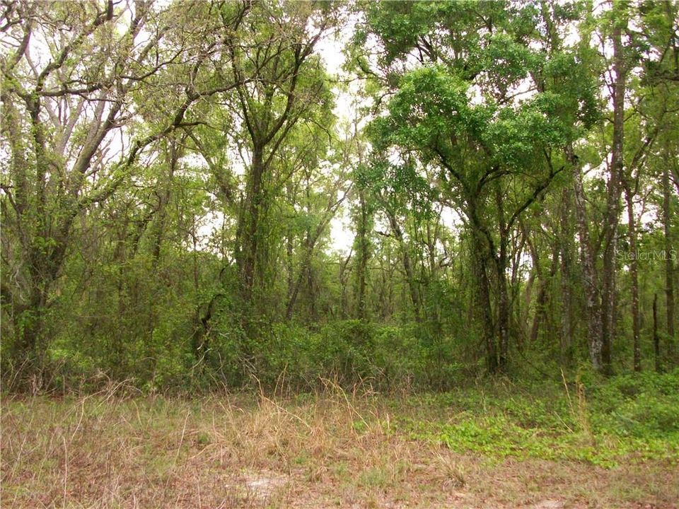 Recently Sold: $92,500 (10.00 acres)