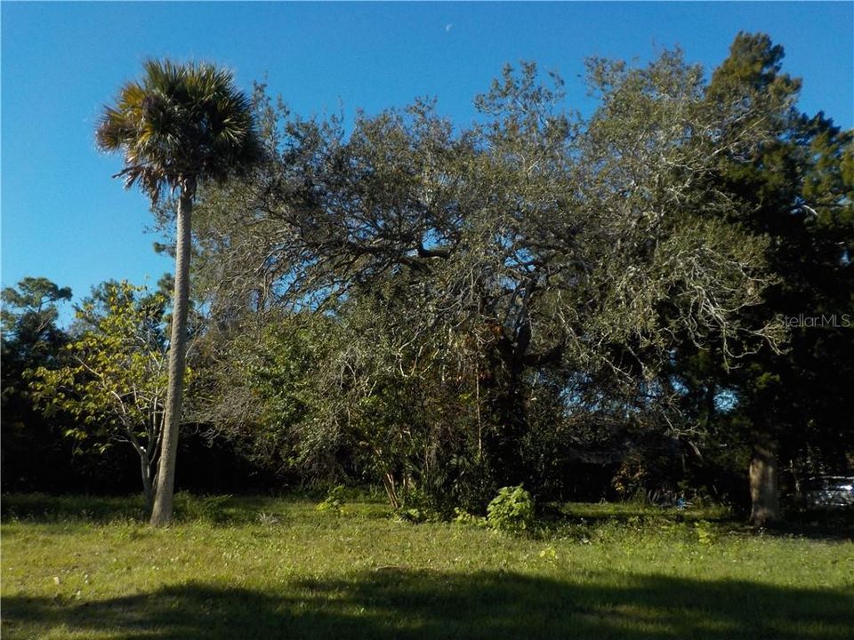 Recently Sold: $49,900 (0.34 acres)