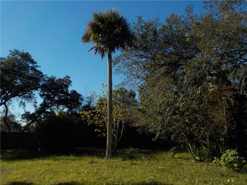 Vendido Recientemente: $49,900 (0.34 acres)