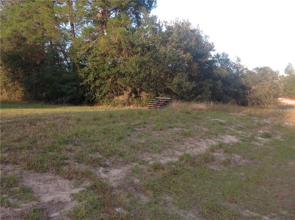 Recently Sold: $35,000 (0.32 acres)