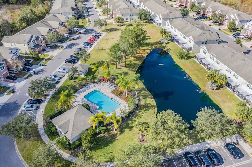 Community Pool with lounge chairs & picnic area overlooking beautiful pond!