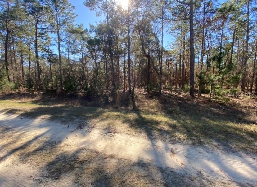 Recently Sold: $13,500 (1.16 acres)