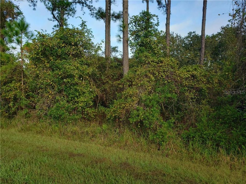 Recently Sold: $30,000 (1.21 acres)