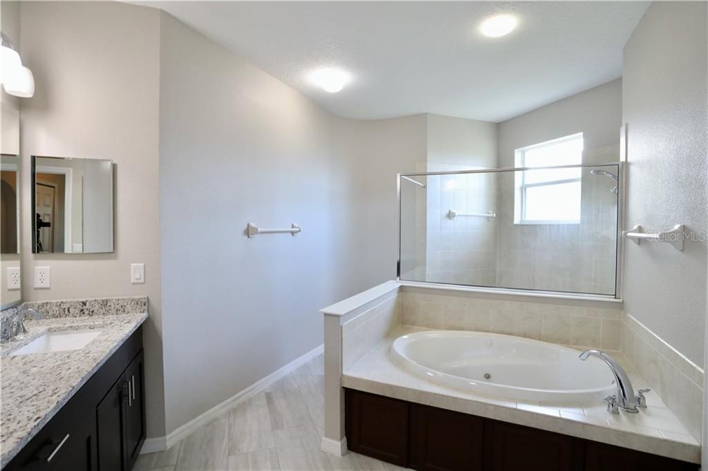 Master Bathroom Jetted Tub / Separate Shower
