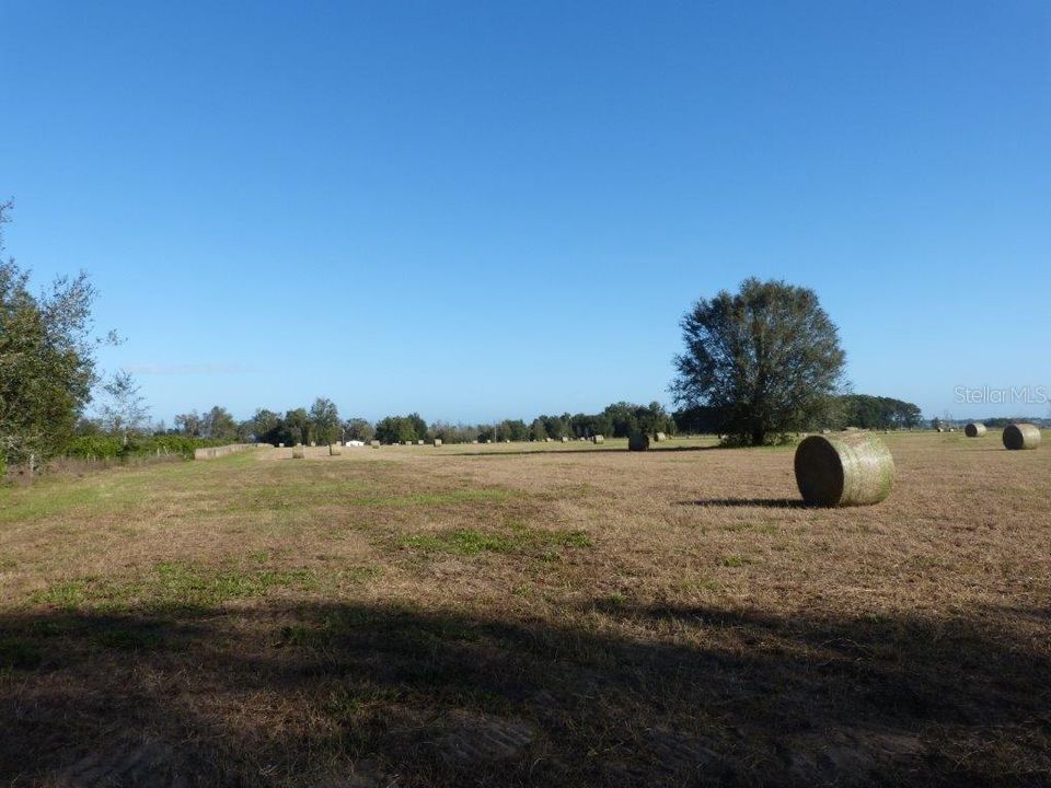 Recently Sold: $239,900 (10.04 acres)