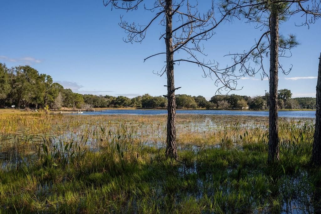 Lake View Looking Northeast