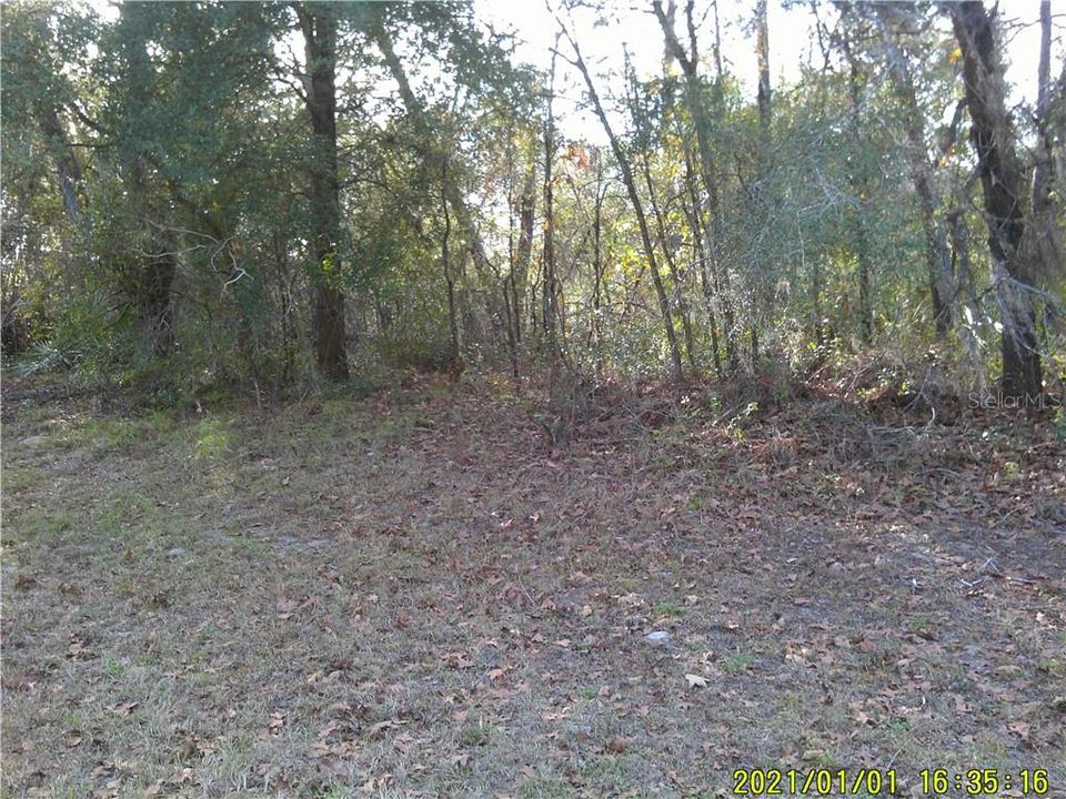 Recently Sold: $12,000 (0.23 acres)