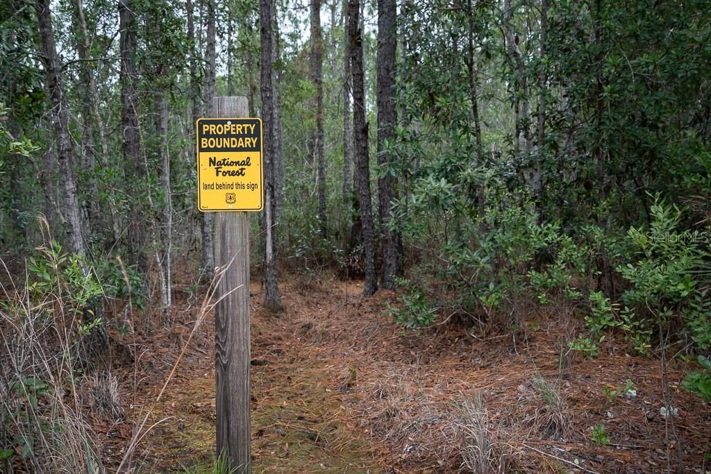 This 5 acre parcel is bordered on two sides by the Ocala National Forest.
