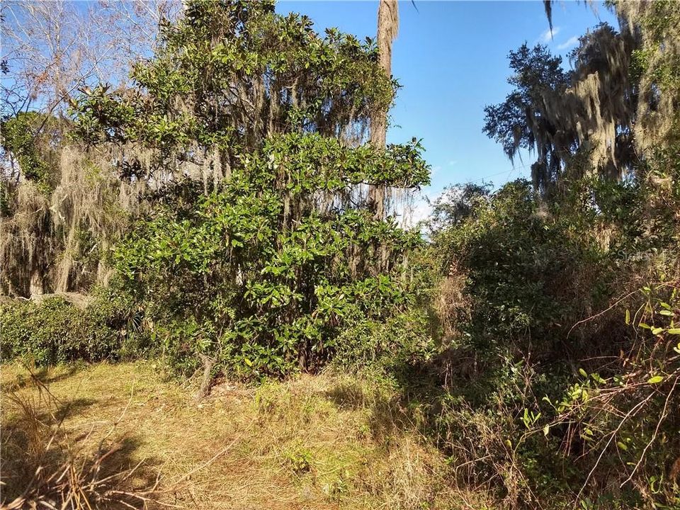 Recently Sold: $30,000 (0.40 acres)