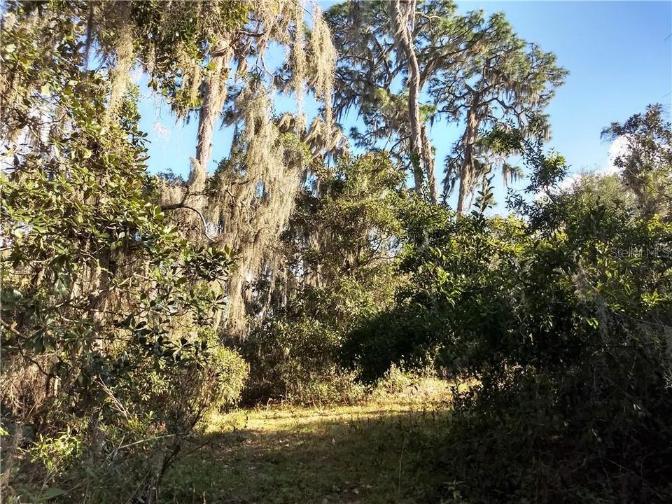 Recently Sold: $30,000 (0.40 acres)