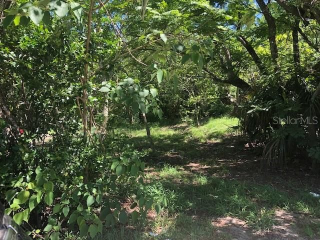 Recently Sold: $14,900 (0.08 acres)