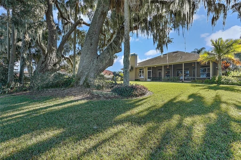 Exterior Back of Home with Majestic Oaks