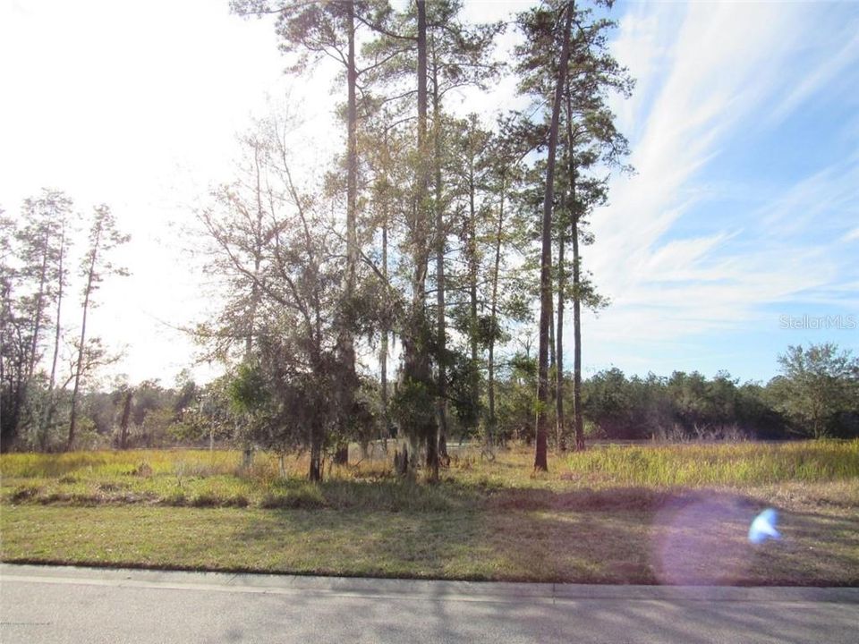 Recently Sold: $22,000 (0.29 acres)