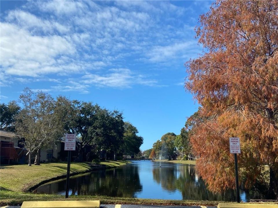 Recently Rented: $1,300 (2 beds, 2 baths, 1245 Square Feet)