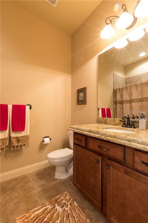 In Law Suite Bath with Italian bullnose granite, cherry wood cabinets and tub/shower combination.