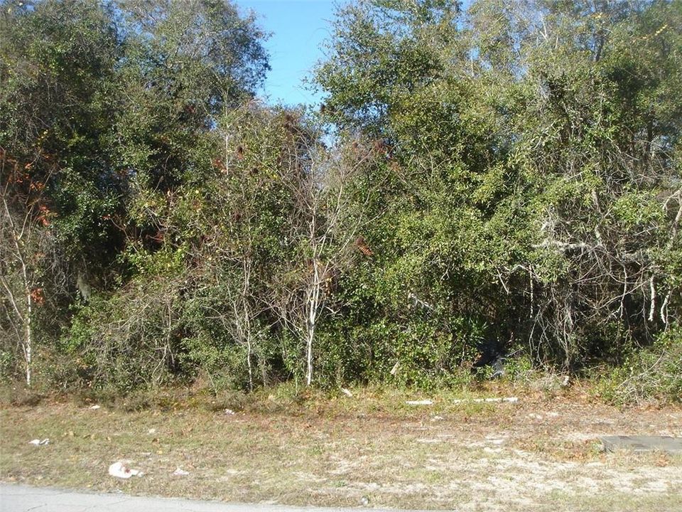 Recently Sold: $45,000 (0.26 acres)