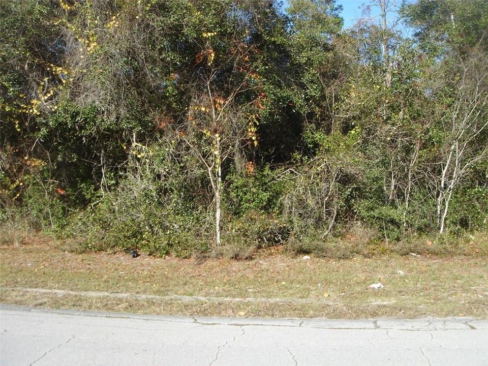 Recently Sold: $45,000 (0.26 acres)