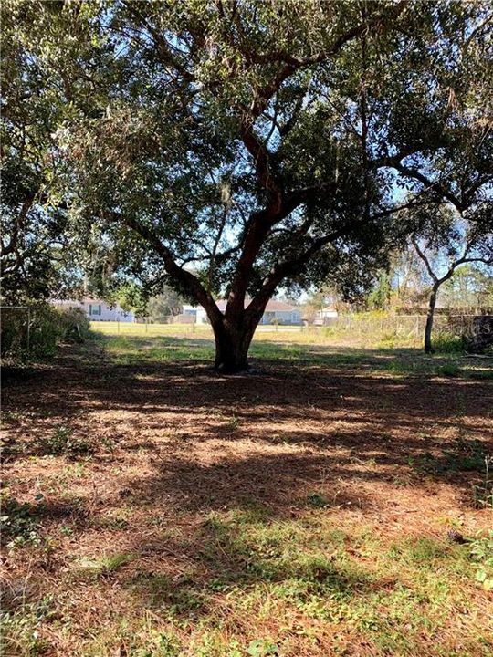 Recently Sold: $29,000 (0.15 acres)