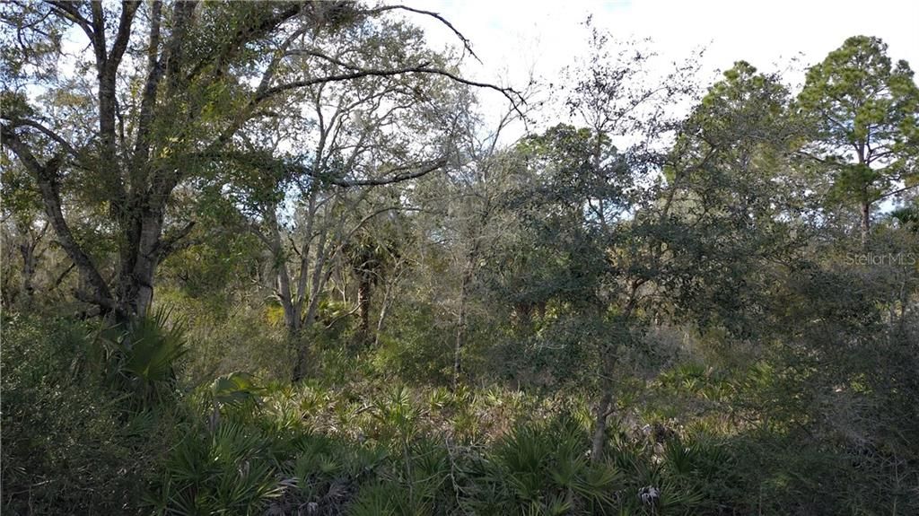Recently Sold: $13,500 (1.16 acres)