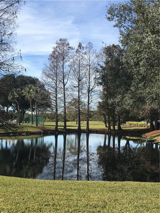 A pretty view of the golf course near the Community Pool and Clubhouse.