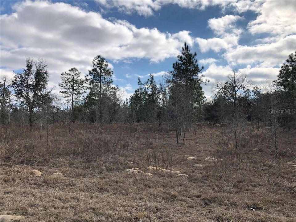 Recently Sold: $49,900 (5.00 acres)