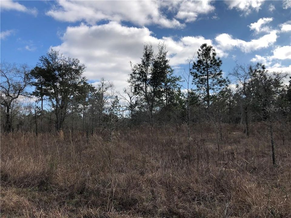 Недавно продано: $49,900 (5.00 acres)