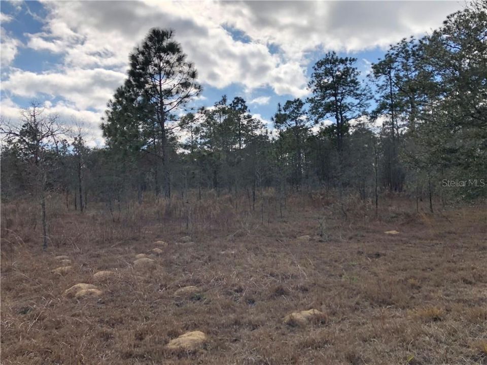 Recently Sold: $49,900 (5.00 acres)