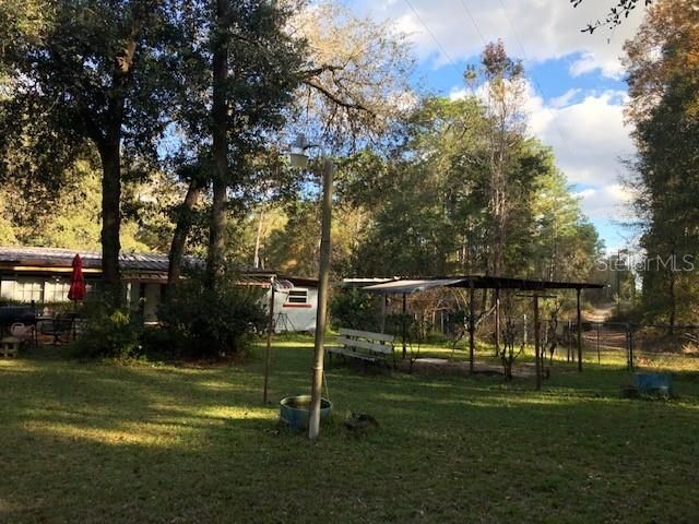 The county shows about 240' of Ocala National Forest behind the house. (This is from the western side of the property.)