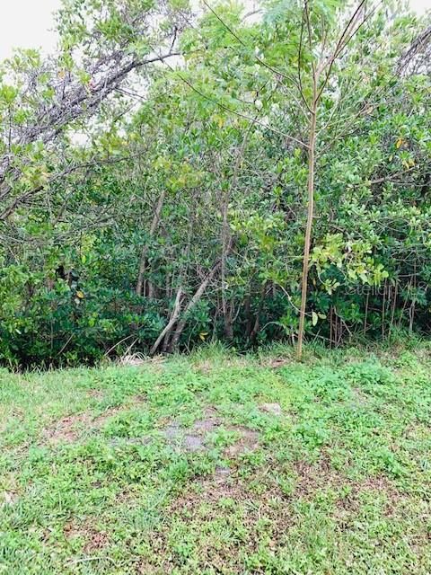 Recently Sold: $1,234 (0.01 acres)